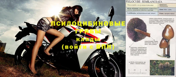 хмурый Алексеевка