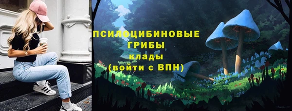 spice Алзамай