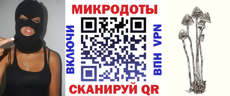 Псилоцибиновые грибы MAGIC MUSHROOMS  магазин продажи наркотиков  Бобров 